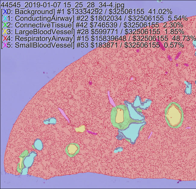 6 color segmentation image alt text