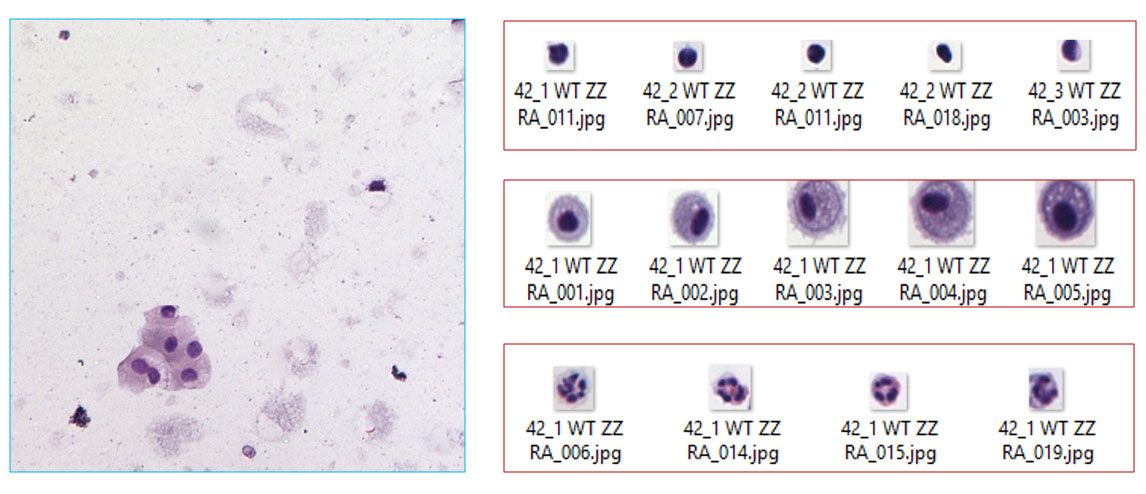 train with simulated images alt text